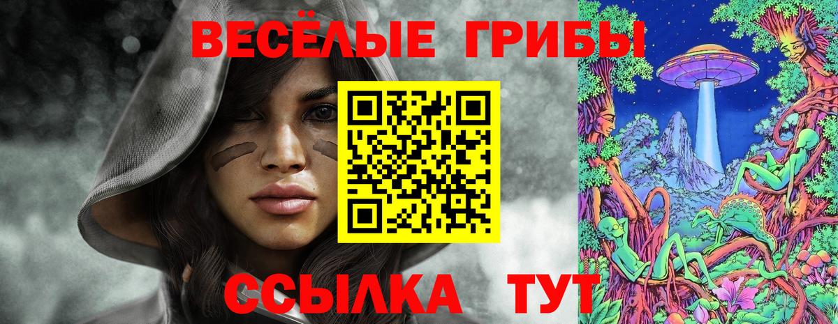 Псилоцибиновые грибы мухоморы Можайск